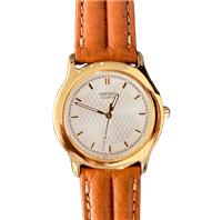 Montre Seiko in Acier plaqué or jaune SFR382P - SFR382P